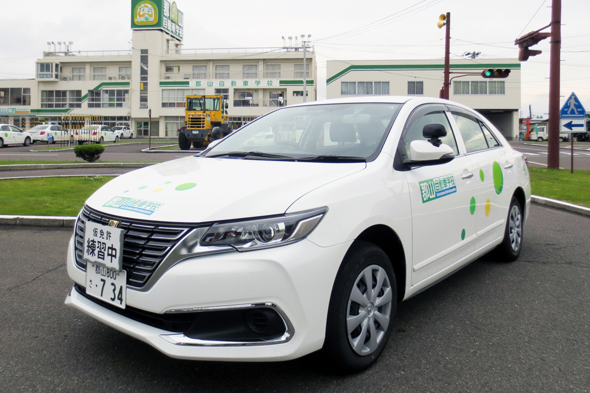 普通 自動車 第 一 種 免許